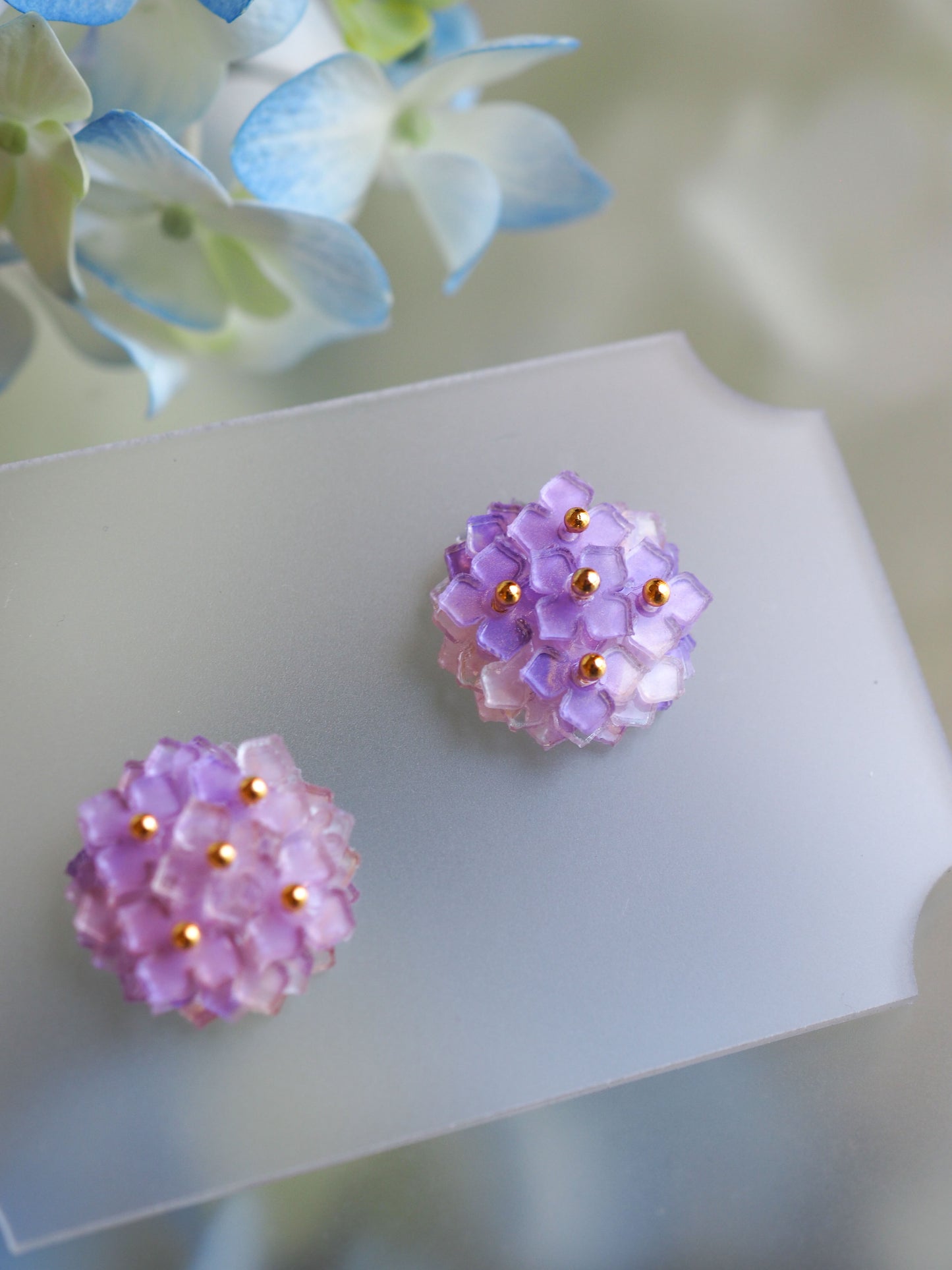 Hydrangea:Simple