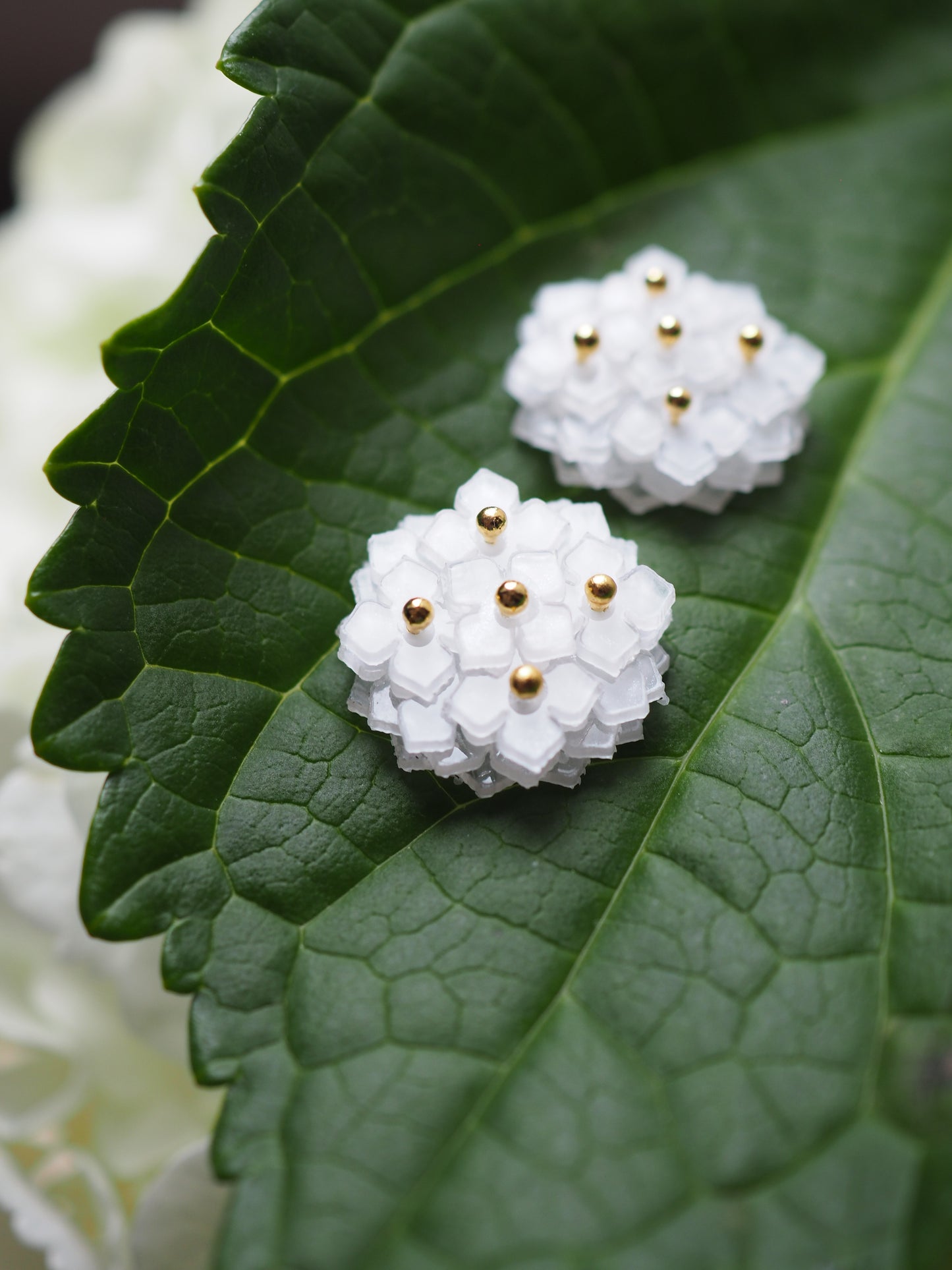 Hydrangea:Simple