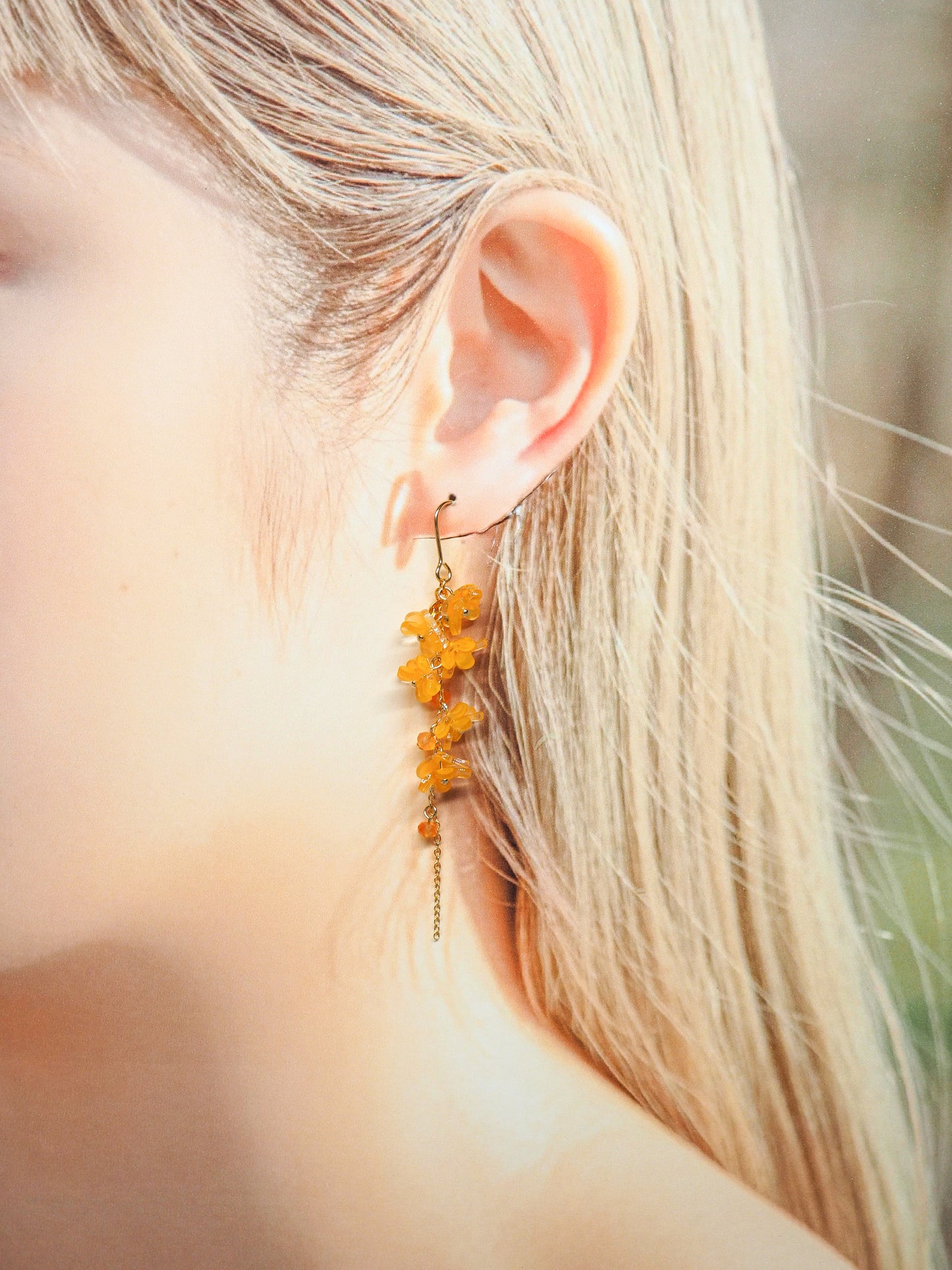 Osmanthus: Type 2