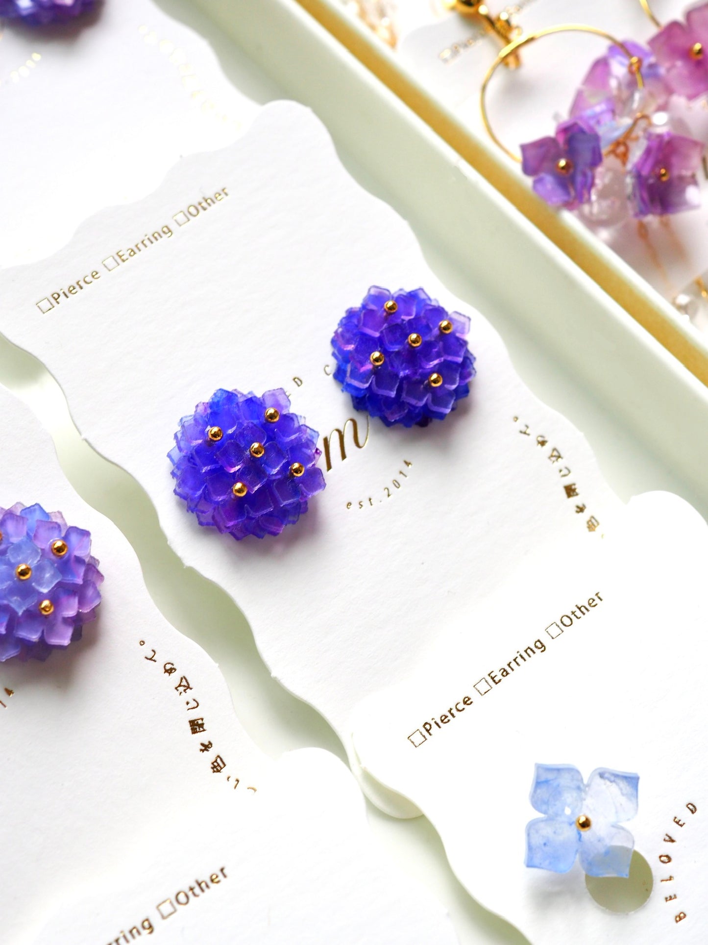 Hydrangea:Simple