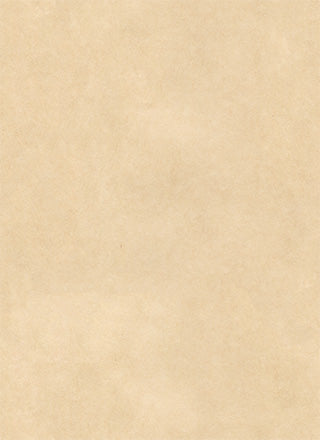 Brown envelope packaging