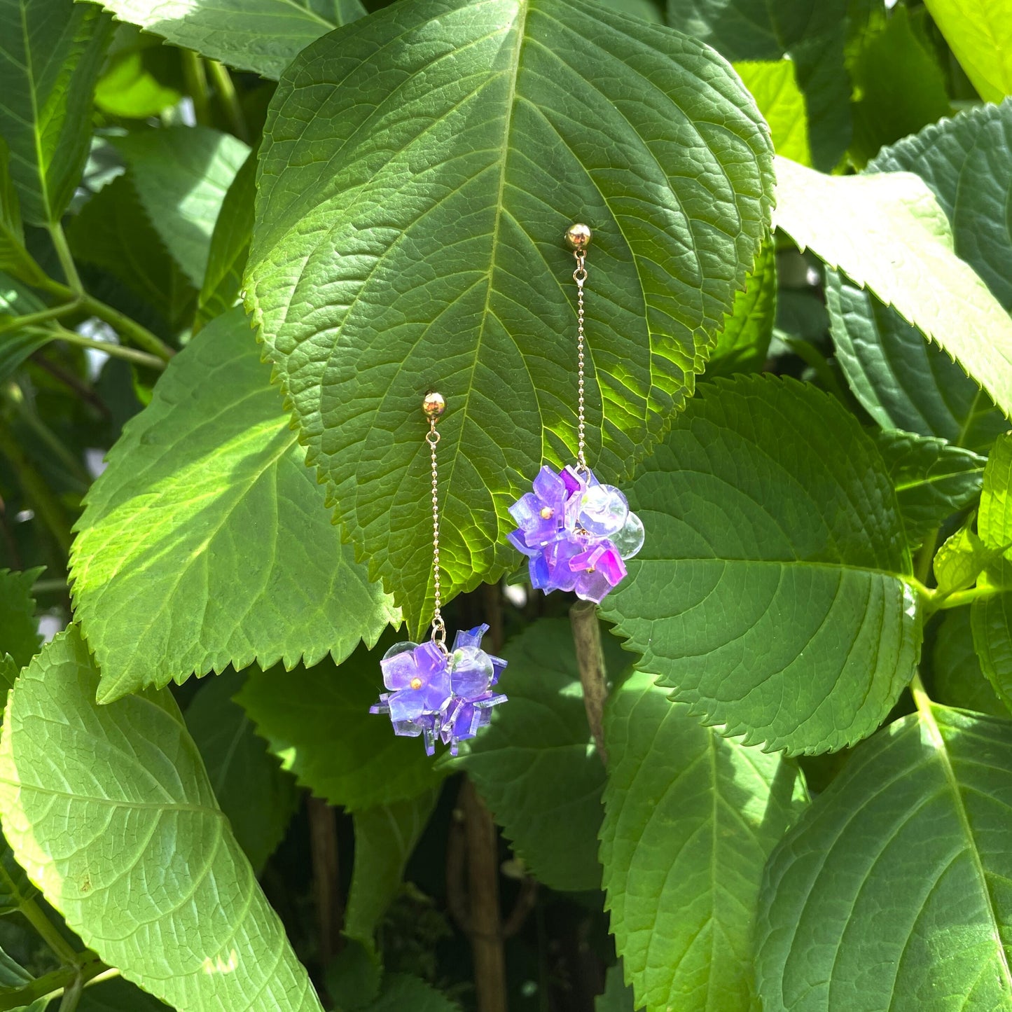Hydrangea:Chain