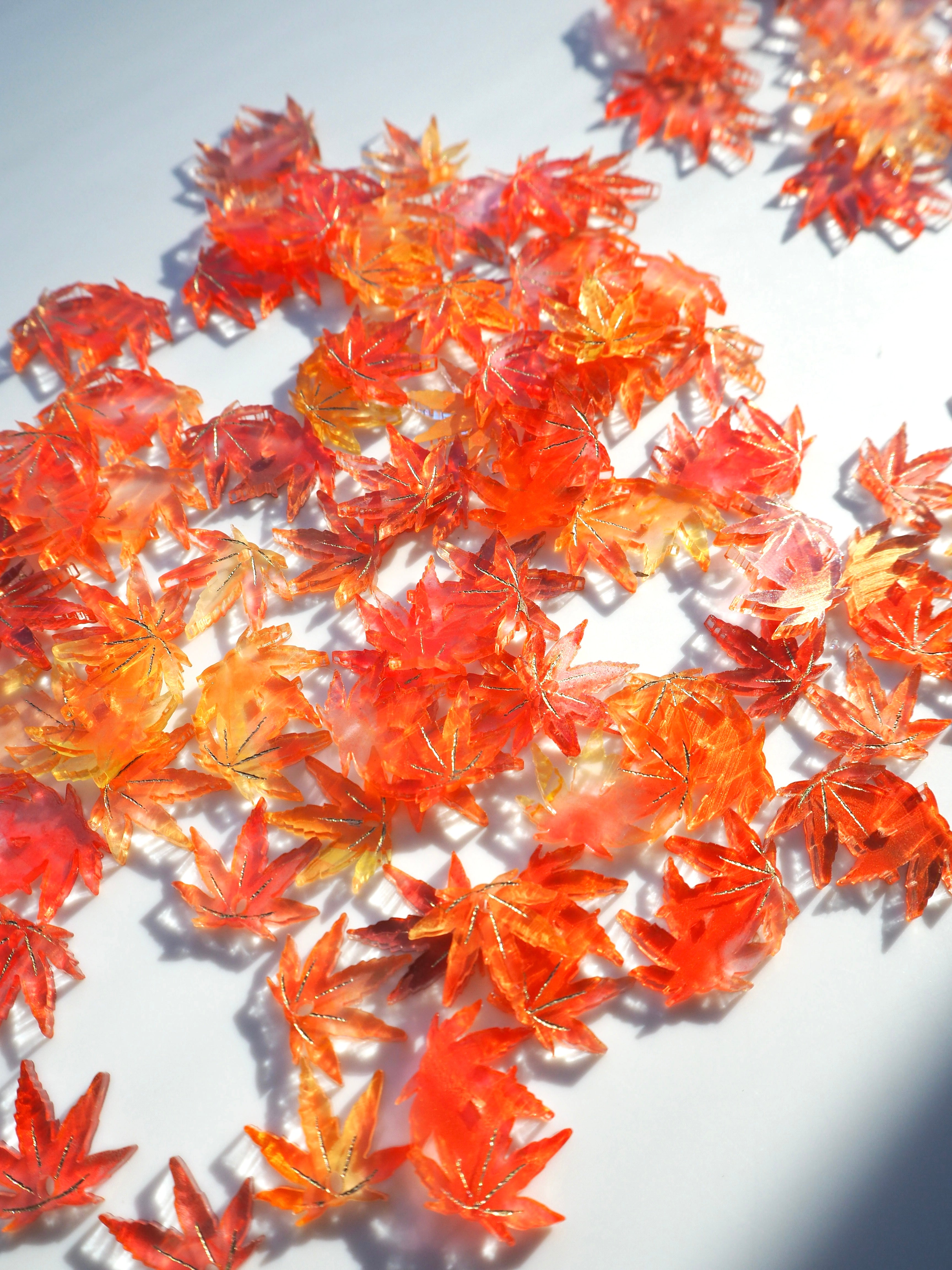 Autumn Collection – Beloved color m ONLINE SHOP
