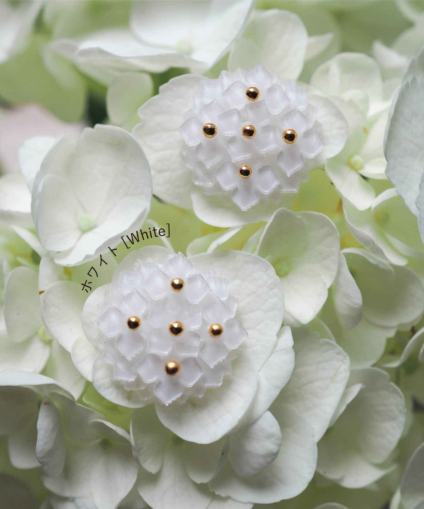 Hydrangea：Ring【Free size】