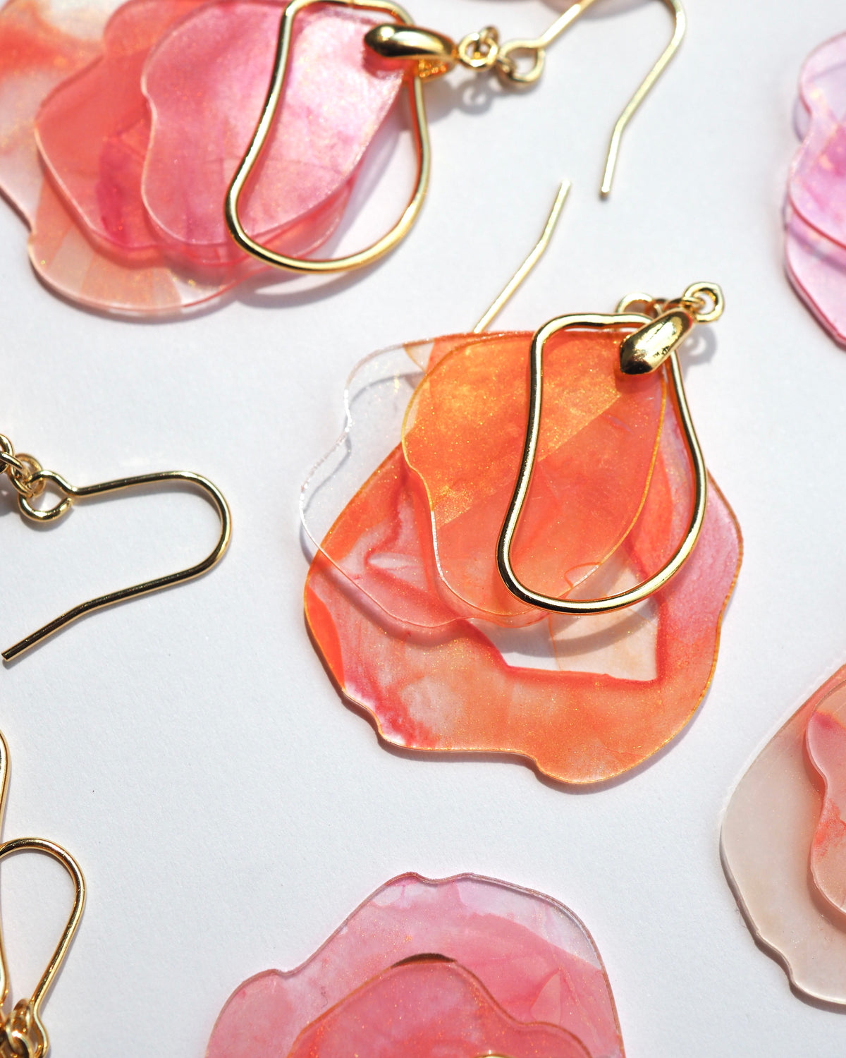 Bloom：Petal：Autumn Color