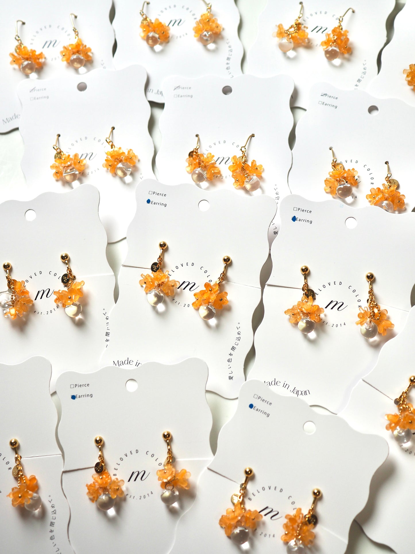 Osmanthus：Short