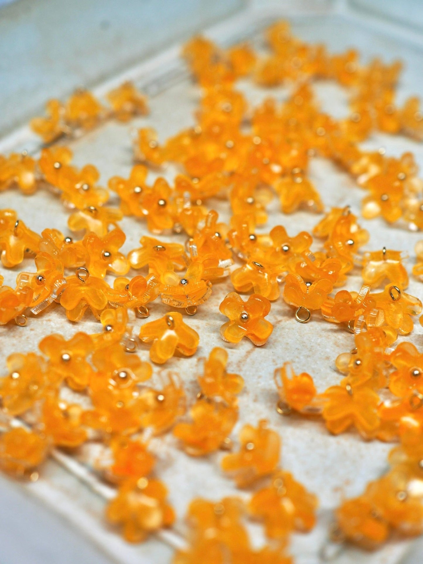 Osmanthus：Short