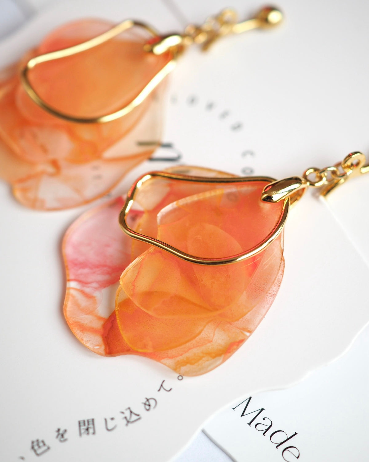 Bloom：Petal：Autumn Color