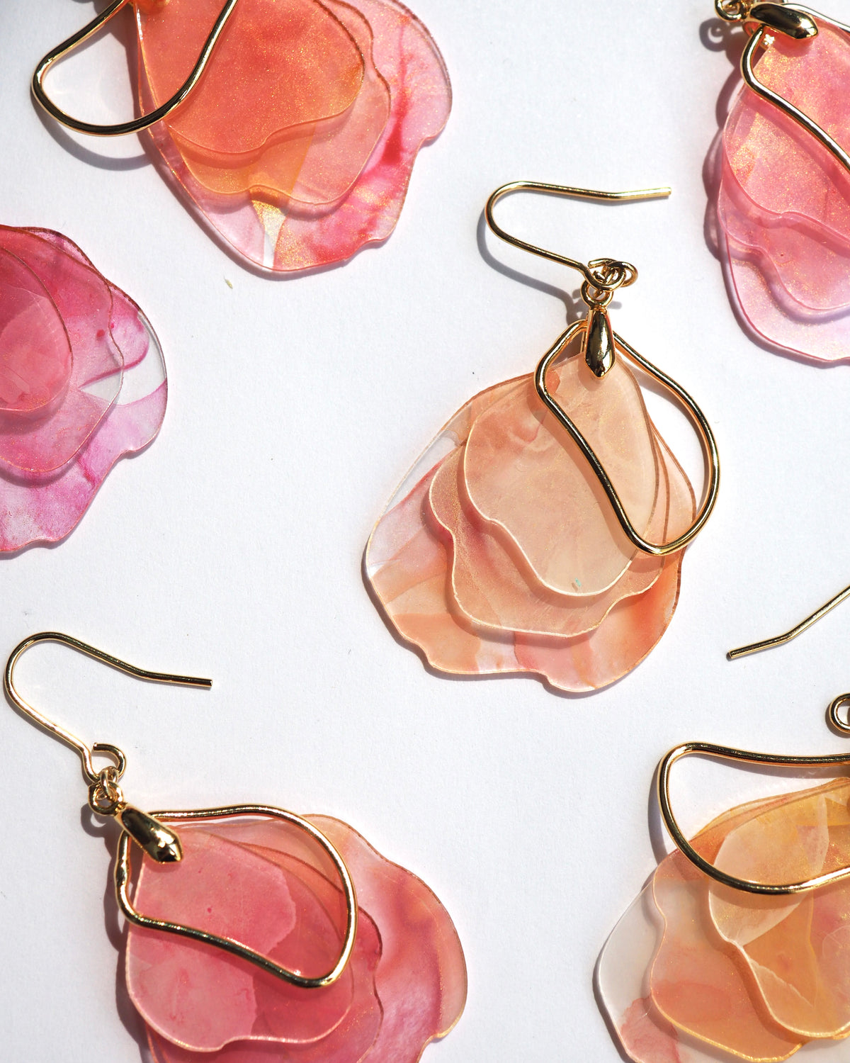 Bloom：Petal：Autumn Color