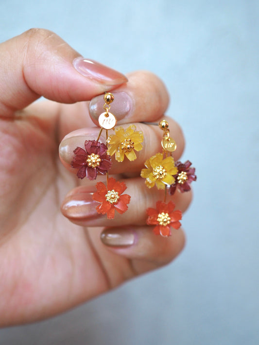 Cosmos：Bouquet