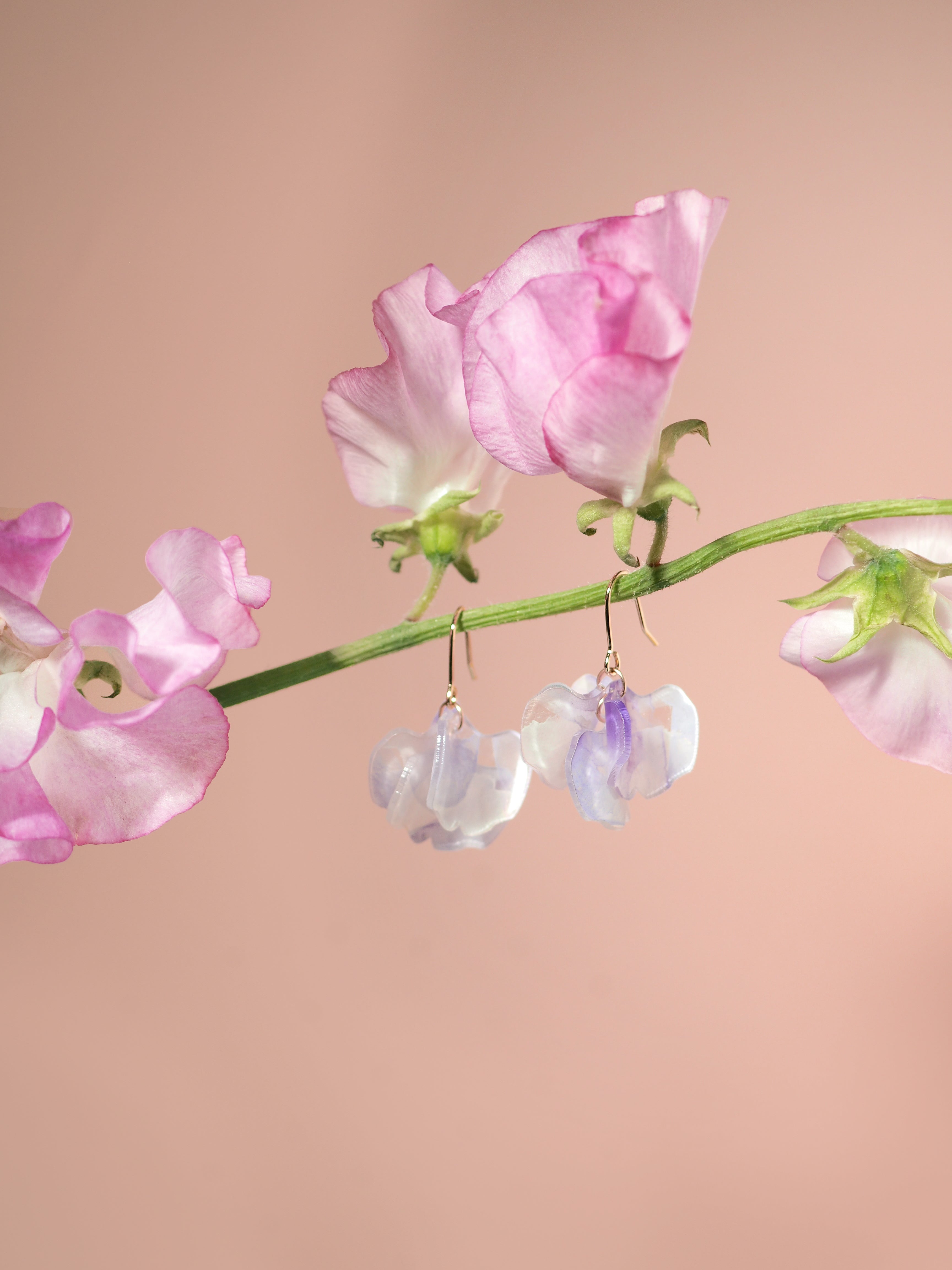 Sweet Pea：Single – Beloved color m ONLINE SHOP