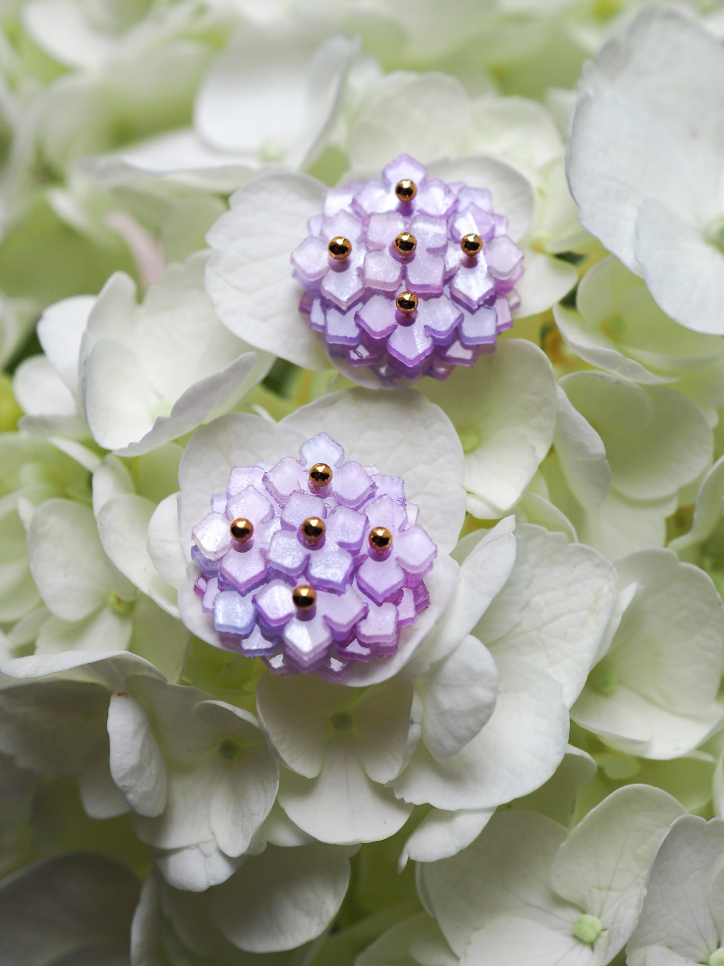 Hydrangea：Ring【Free size】