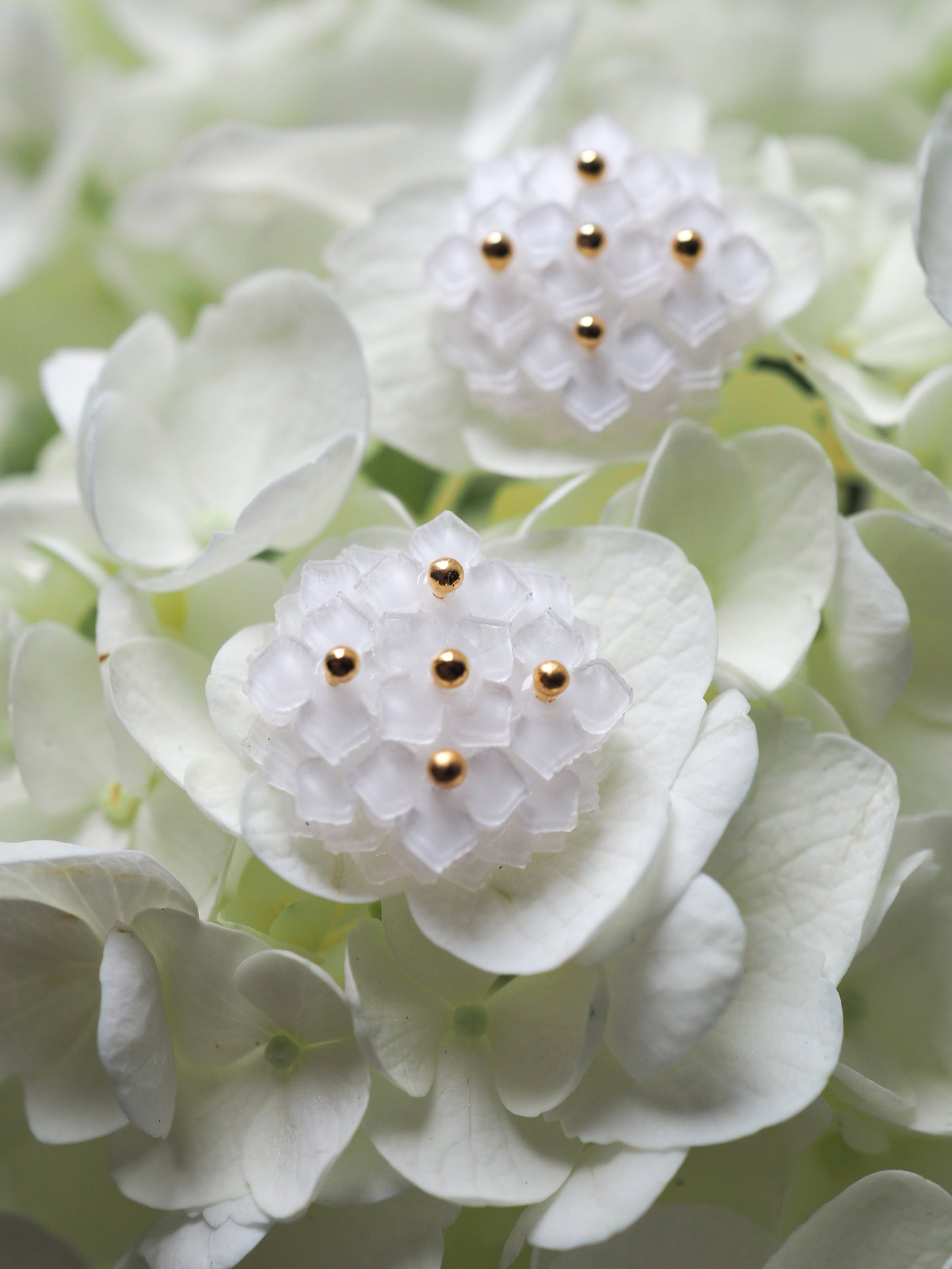 Hydrangea：Ring【Free size】