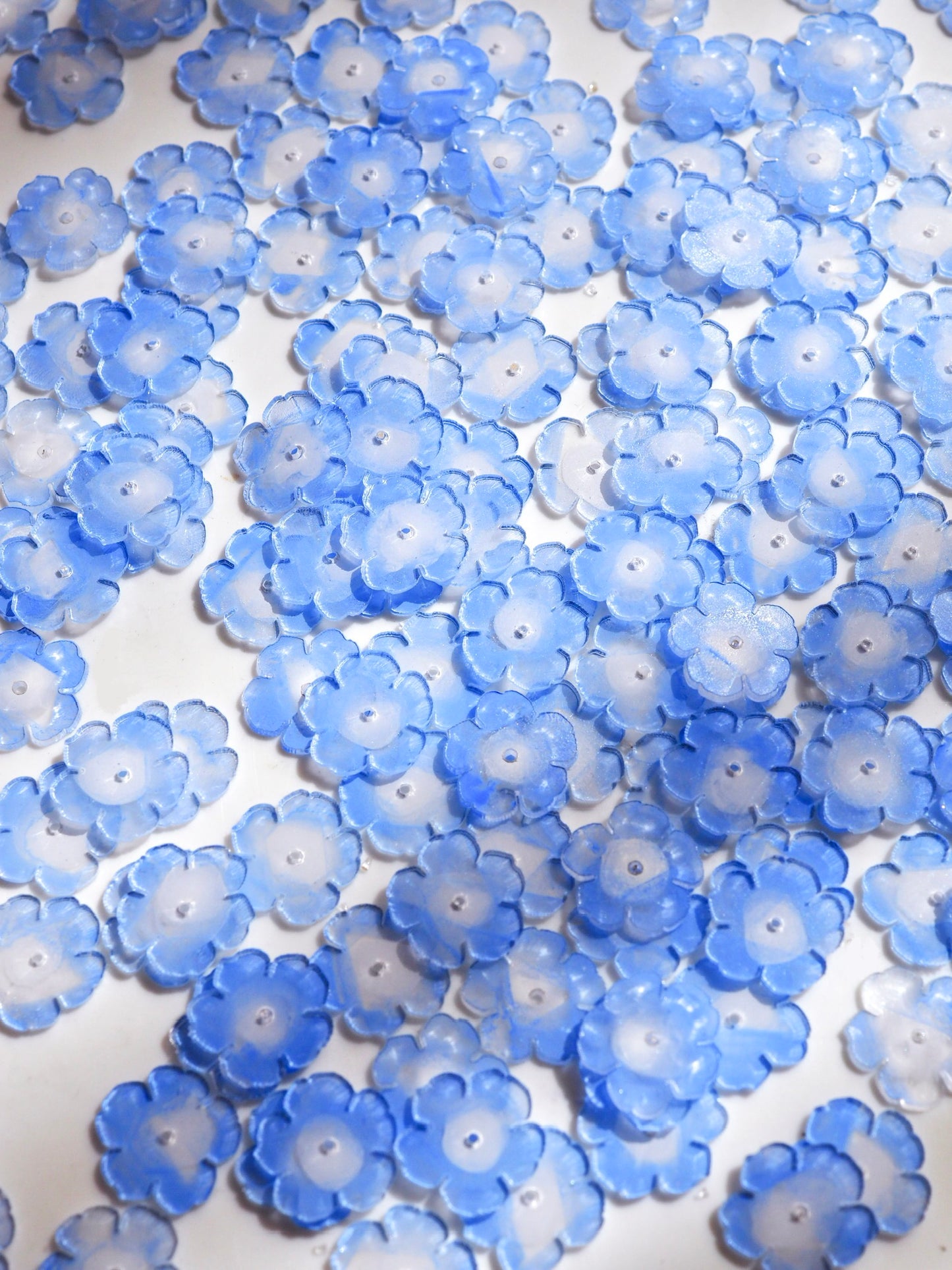 Nemophila：Wreathe