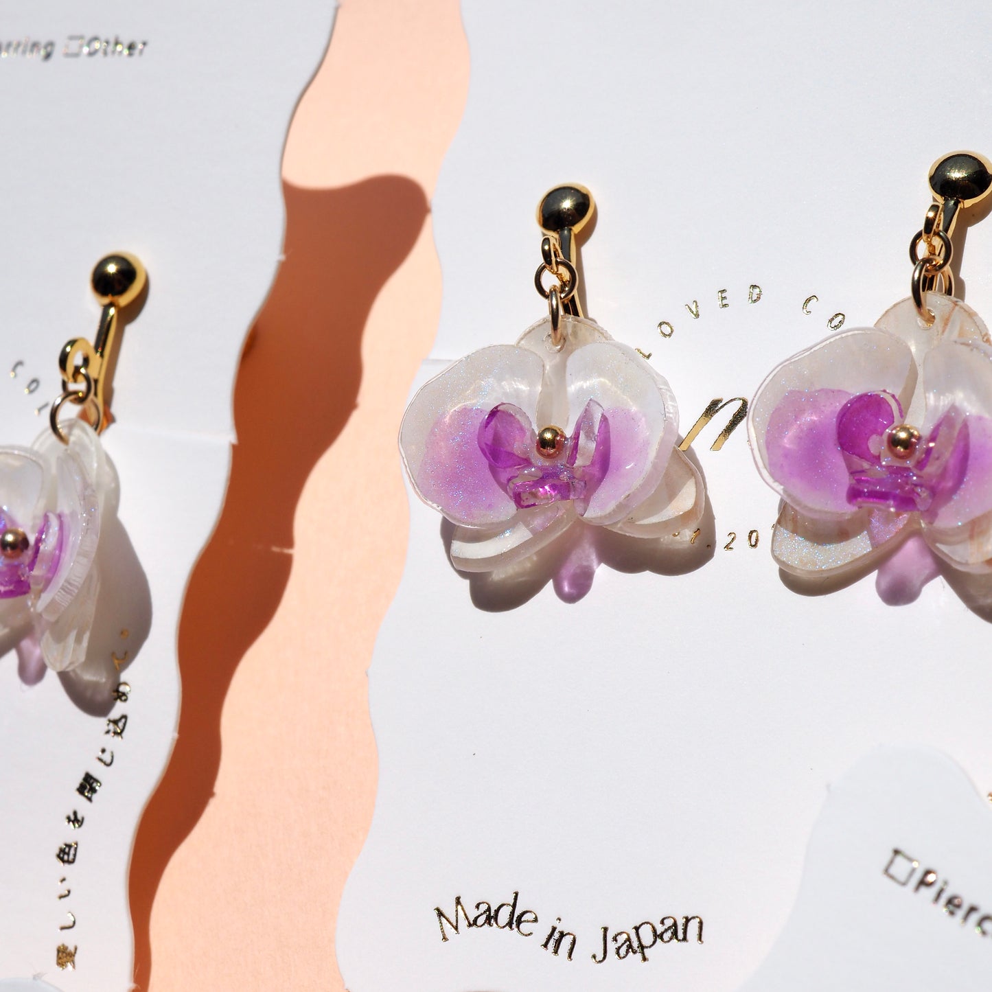 Phalaenopsis -胡蝶蘭-